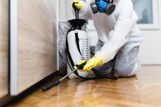 Best Termite Control Services  in Anthem, AZ