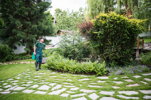 Best Residential Pest Control  in Anthem, AZ